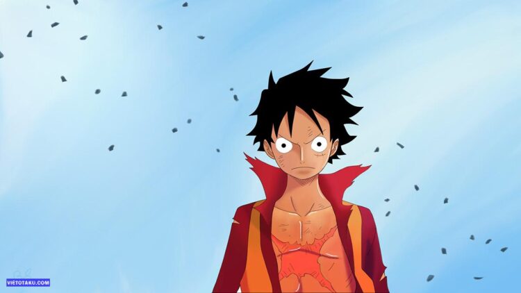 Luffy's appearance