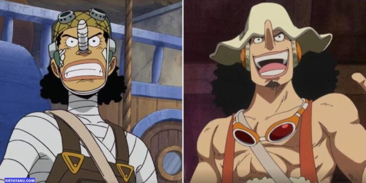 One Piece Characters: Exploring the Rich and Diverse Crew of the Straw Hat Pirates